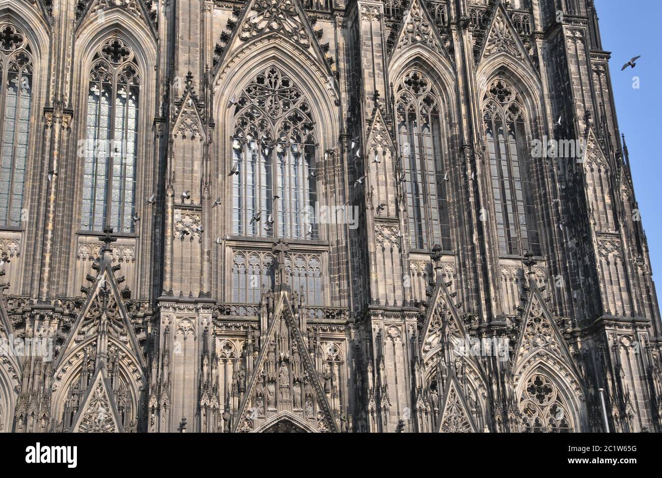 Teil des Kölner Doms Stockfoto
