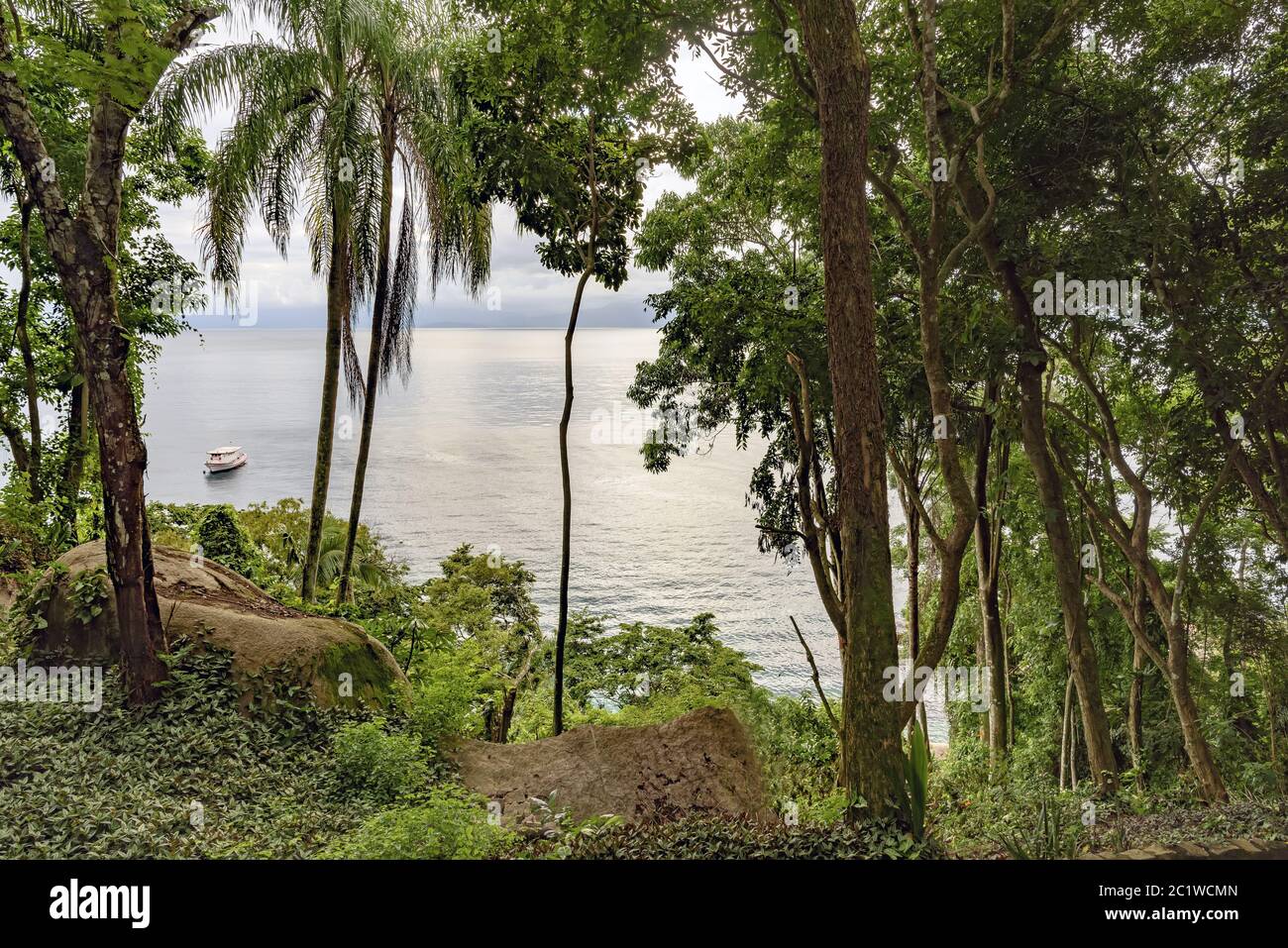 Blick auf die Bucht von Ilha Grande durch die Regenwaldvegetation Stockfoto