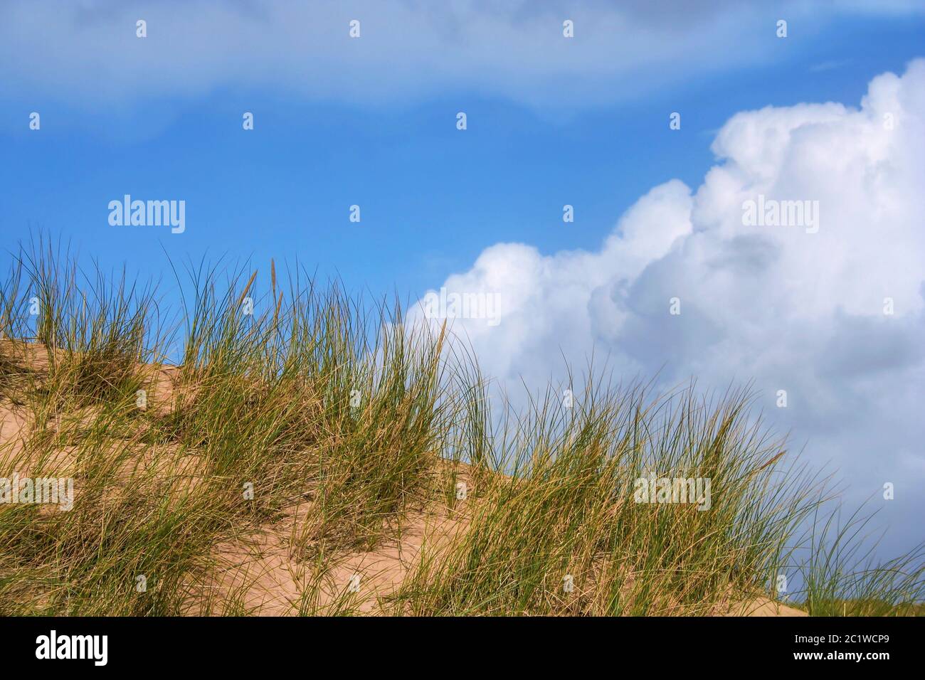 Wolken- und Dünenpanorama auf der Insel Amrum, Nordsee. Norddeutschland Stockfoto