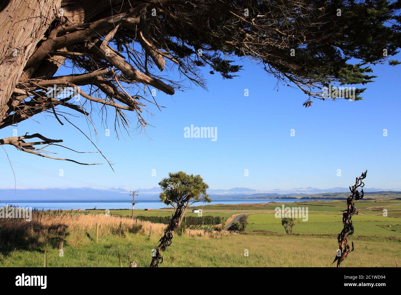 Hügel, Felder und Wiesen von Neuseeland. Southland District. Stockfoto