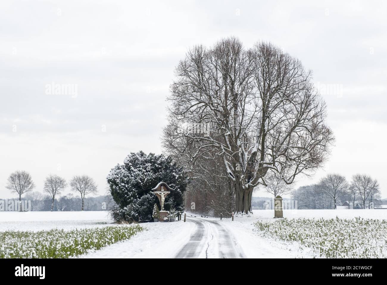 Winter im Münsterland Stockfoto