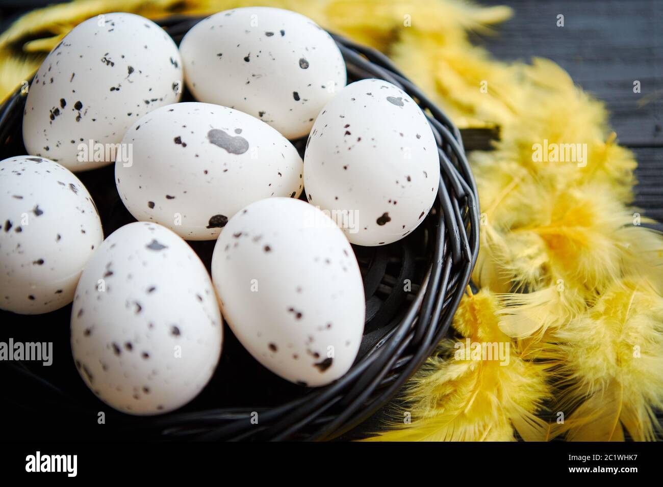 Schwarze und gelbe eier Fotos und Bildmaterial in hoher Auflösung Alamy