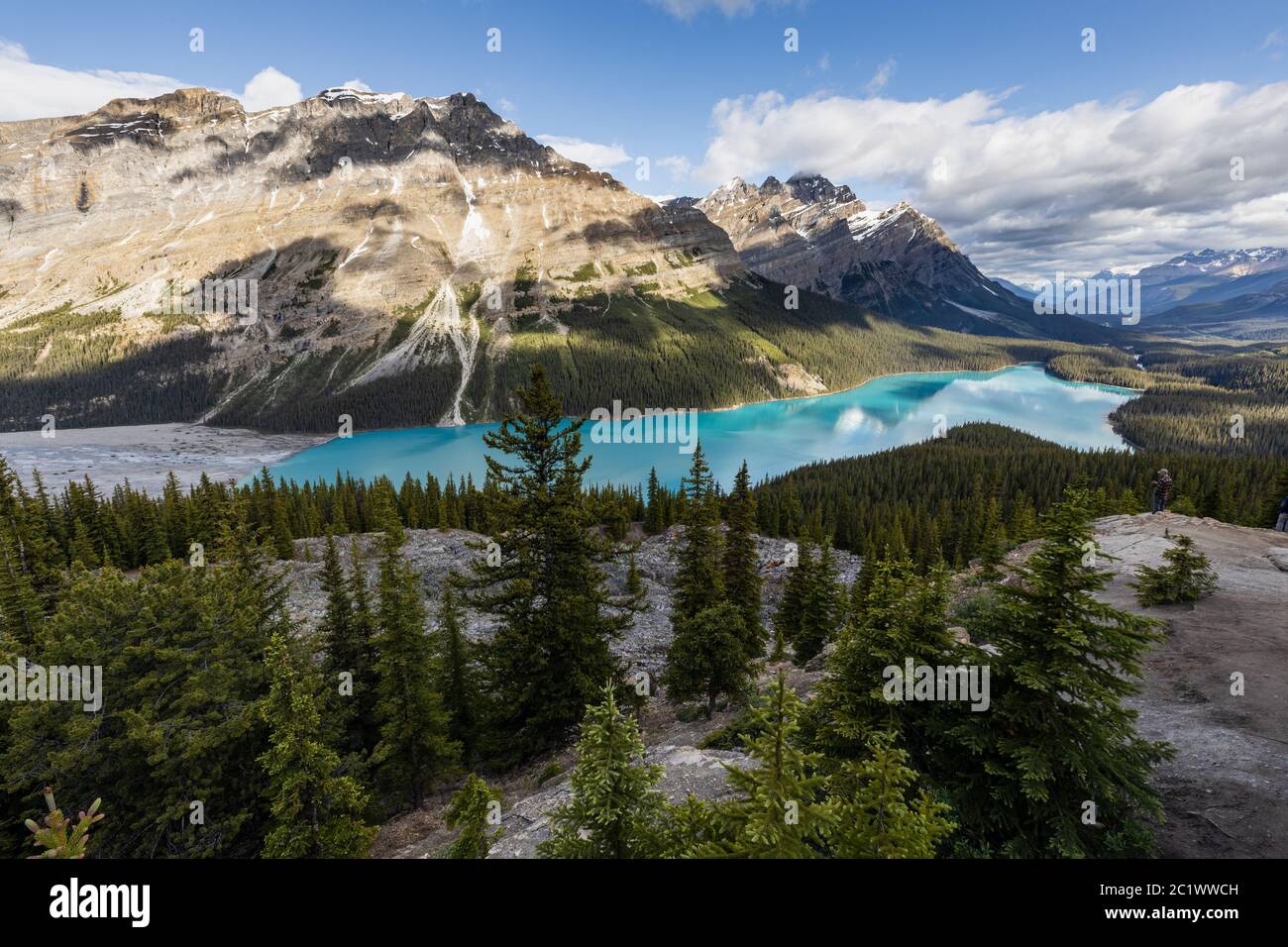 Lake Peyto im Banff National Park in Kanada Stockfoto