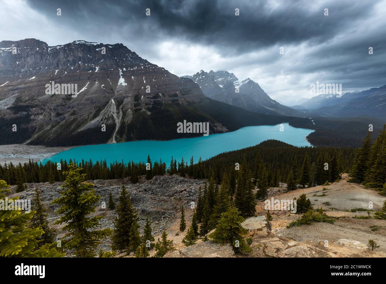 Lake Peyto im Banff National Park in Kanada Stockfoto