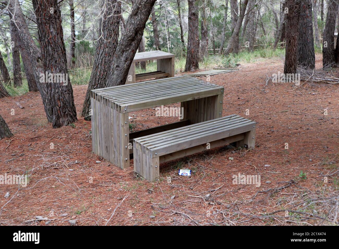 Palinuro – Panche e tavoli al sentiero della pineta Stockfoto