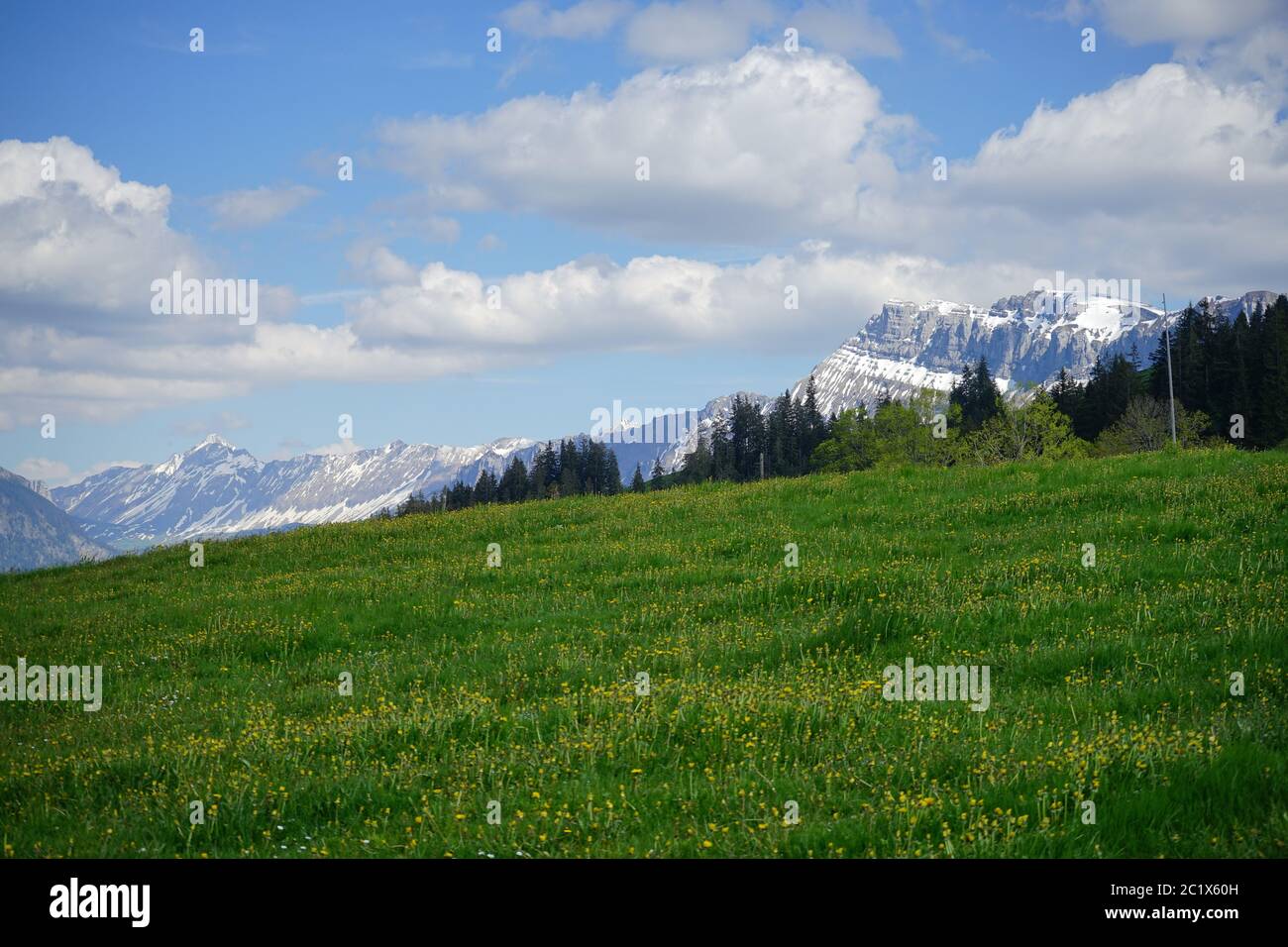 Landschaft und Berge im hügeligen Emmental der Schweiz. Stockfoto