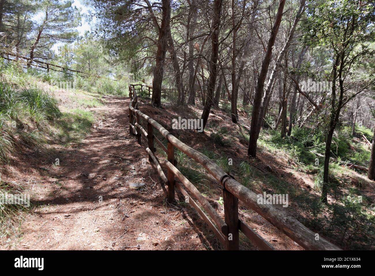 Palinuro – Sentiero della pineta che sbocca su via Faro Stockfoto