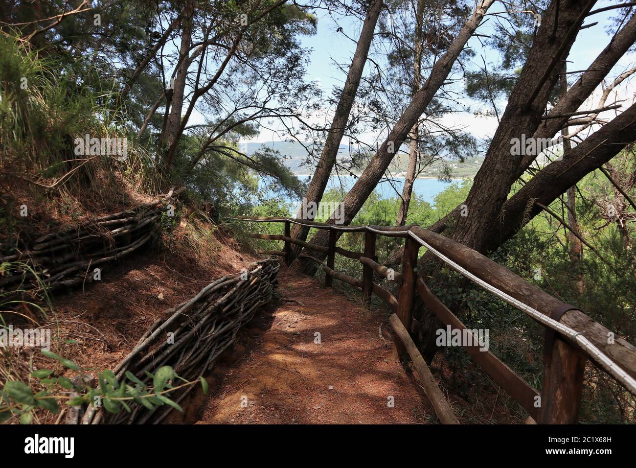 Palinuro – Sentiero della pineta Stockfoto