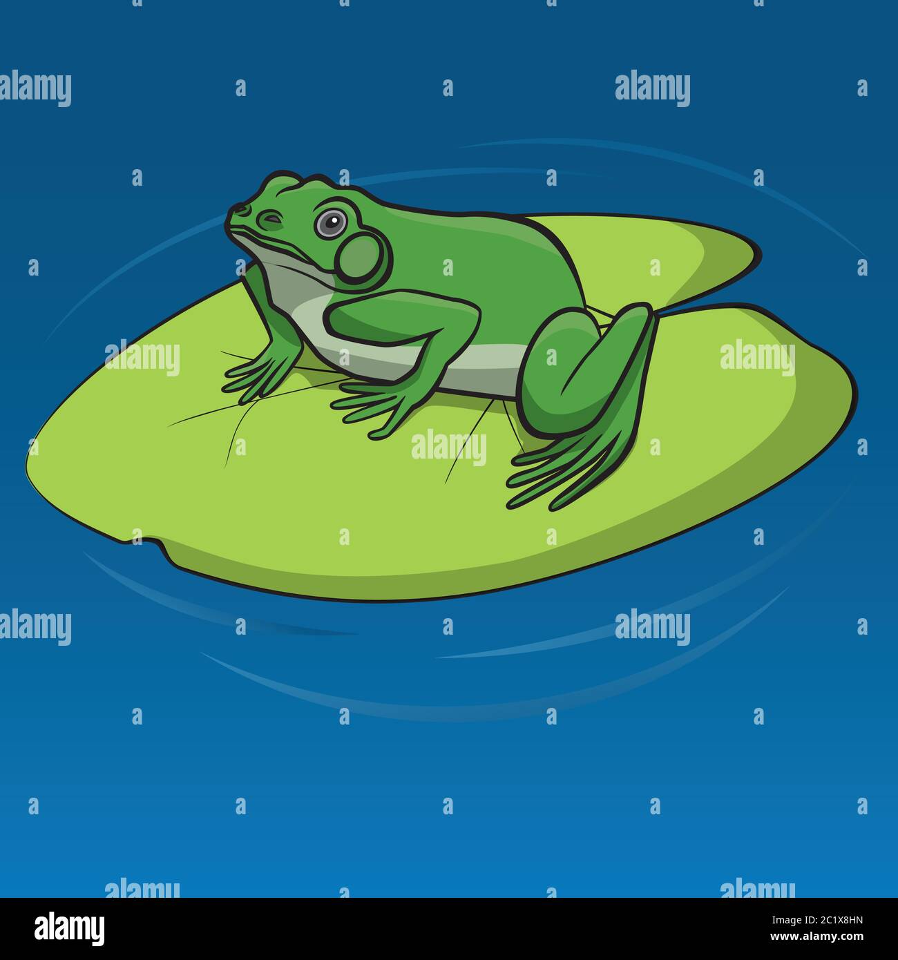 Frosch im gras sitzend zeichnung Fotos und Bildmaterial in hoher