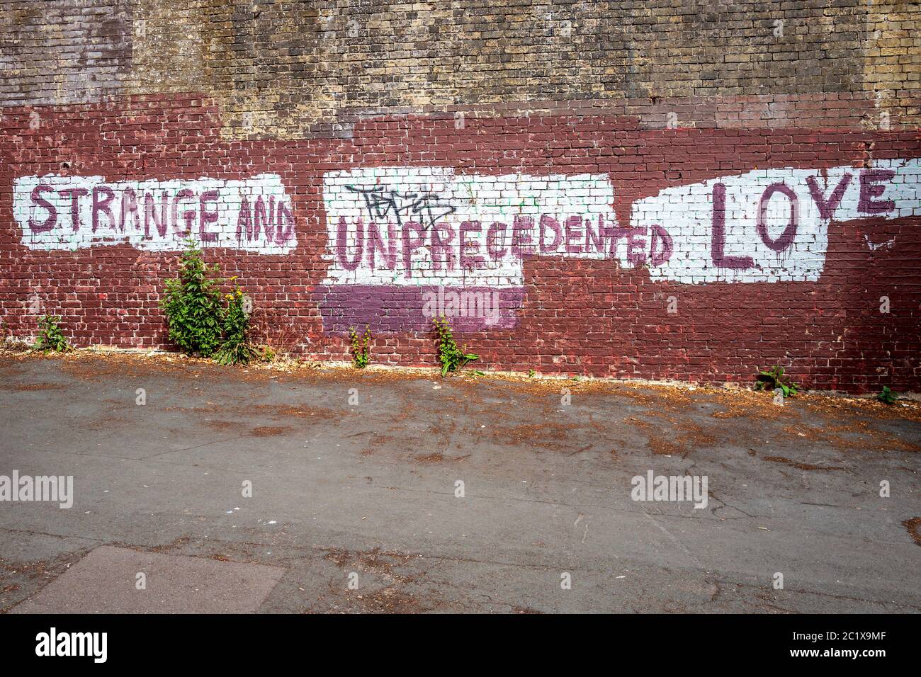Brighton UK, 15. Juni 2020: Blick auf Brighton mit Street Art, die "Trange und beispiellose Liebe" erklärt Stockfoto