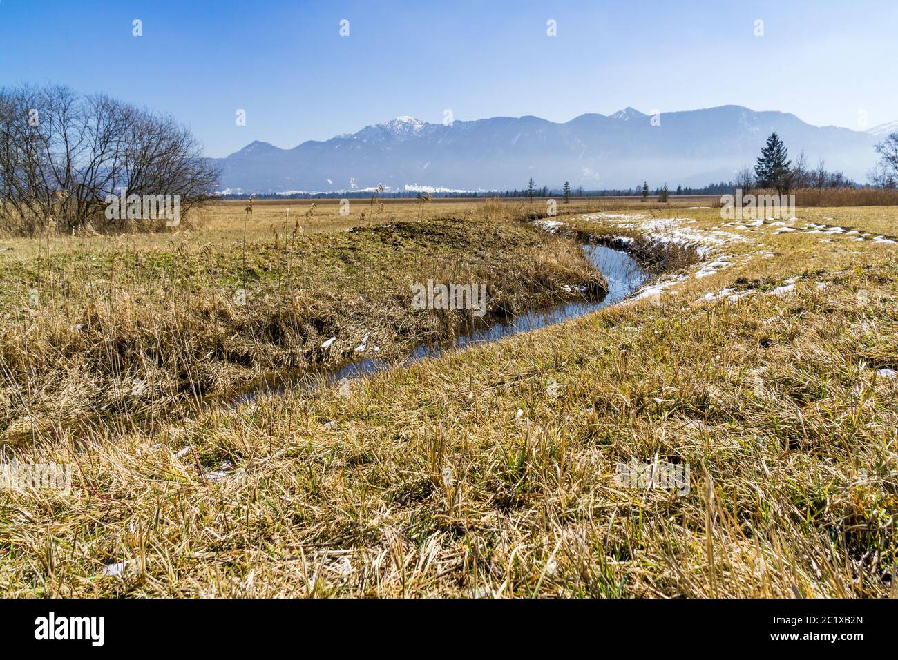 Bach im Murmau Moos Stockfoto