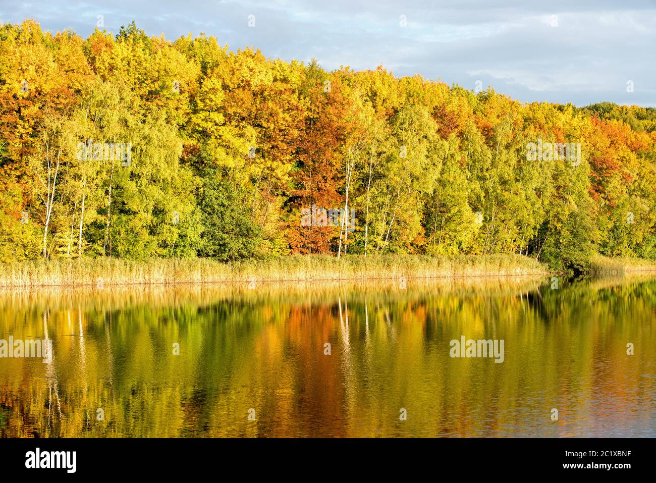 Herbstfarben Stockfoto