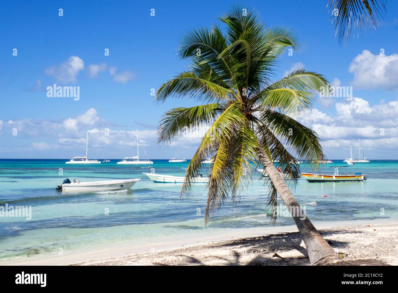 Karibik, Dominikanische Republik - Saona Island am Gato Beach Stockfoto