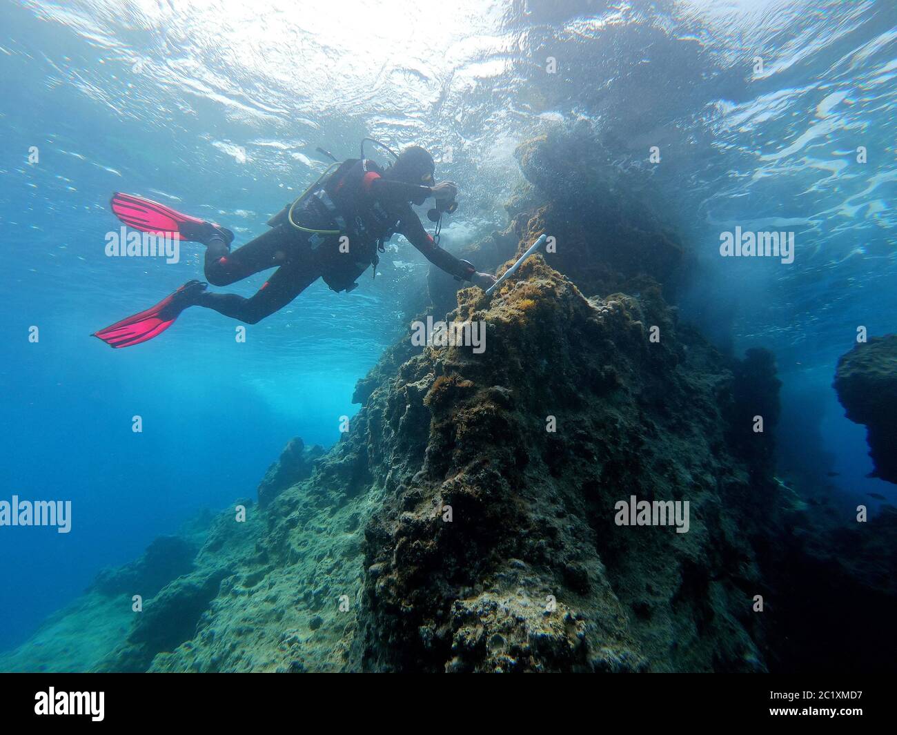 Unterwasserforscher, der Makroalgen-Vermessung auf der Küstenzone in Kaş-Kekova Meeresschutzgebiet Antalya Türkei durchführt Stockfoto