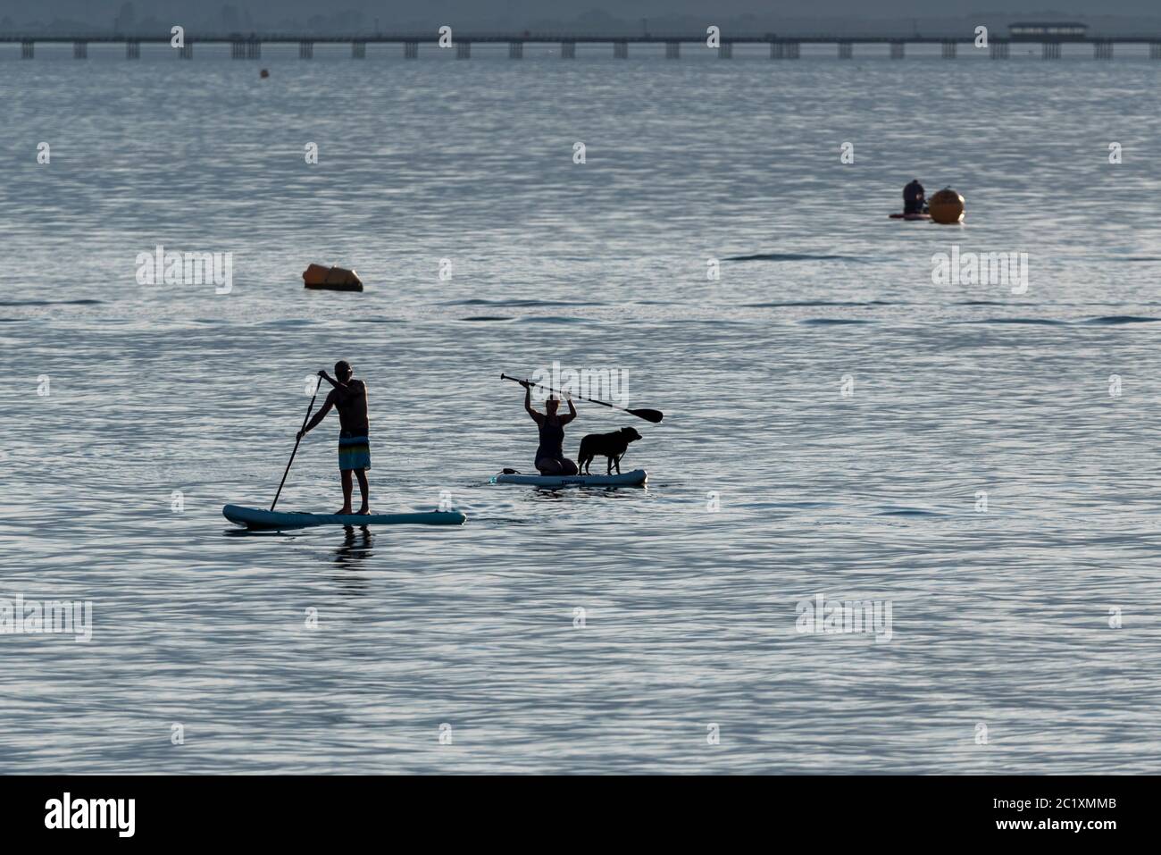 Paddelboarding an der Themse Mündung in Southend on Sea, Essex, Großbritannien. Themse. Männchen und Weibchen mit Hund an Bord. Silhouette am späten Nachmittag Stockfoto