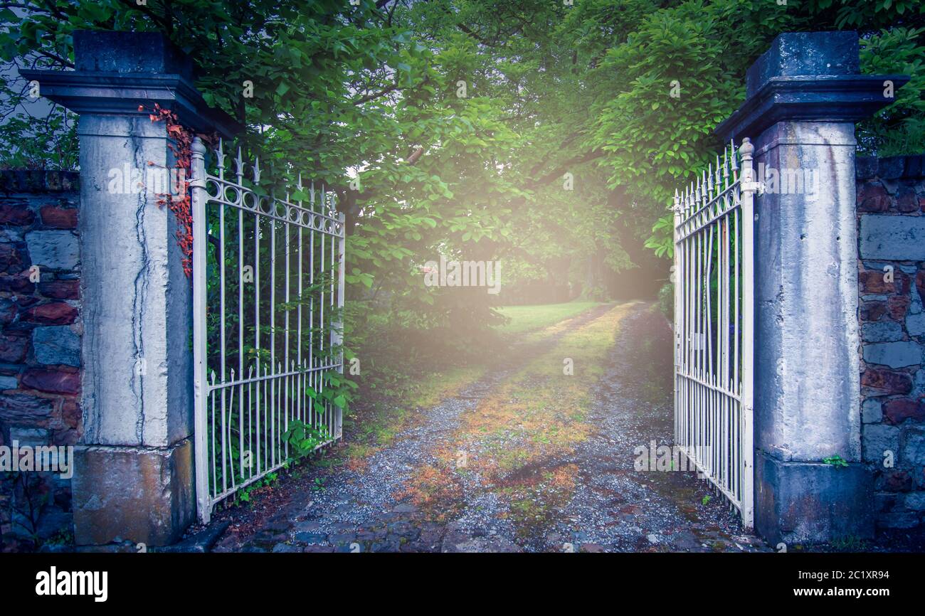 Altes Eisentor am geheimnisvollen nebligen Gartenweg. Stockfoto