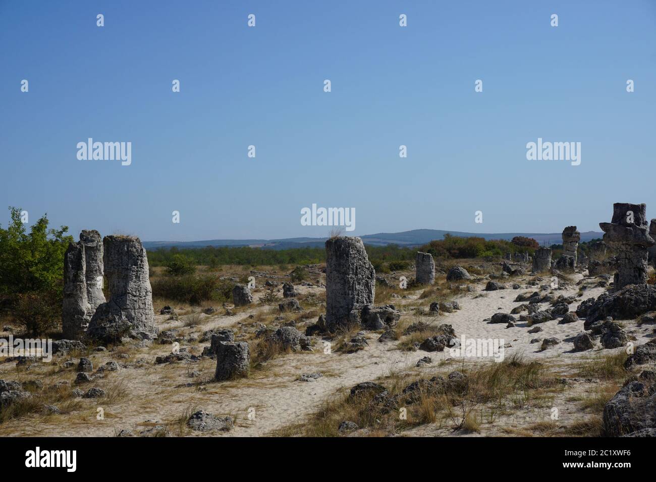 Pobiti Kamani oder Steinwüste, irgendwo in der Nähe von Varna in Bulgarien. In einer Sandwüste haben sie viele natürliche Steinstücke gebildet. Stockfoto