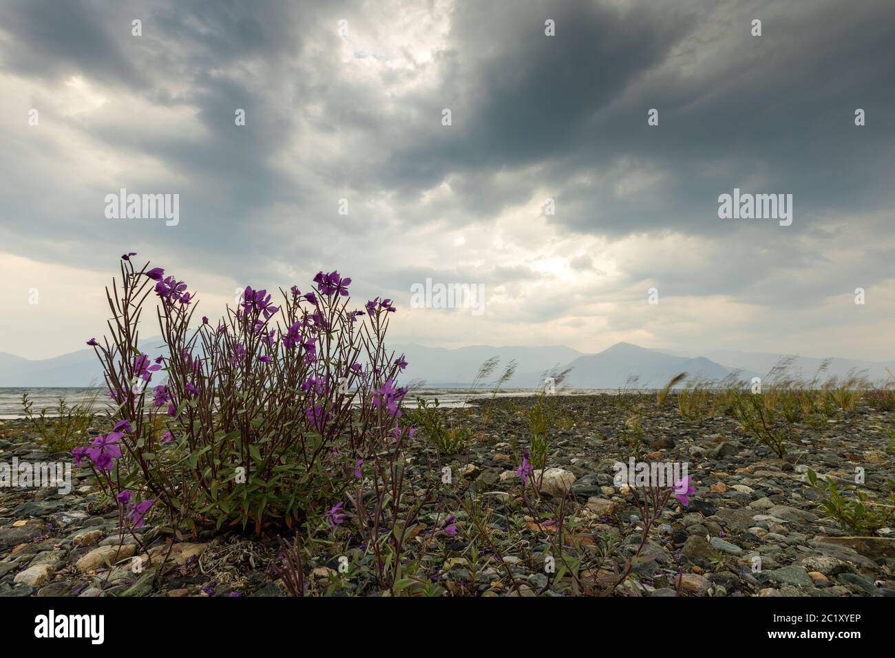 Lake Kluane National Park in Clouds and Storm Stockfoto