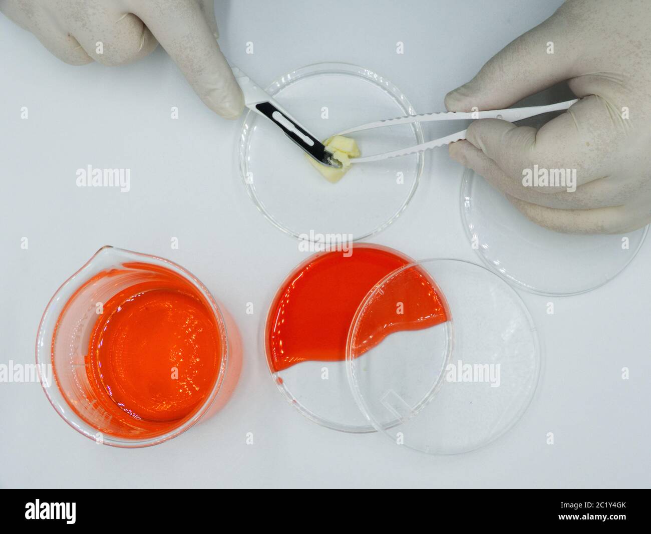 Labortechniker führt Experimente auf weißem Hintergrund Stockfoto