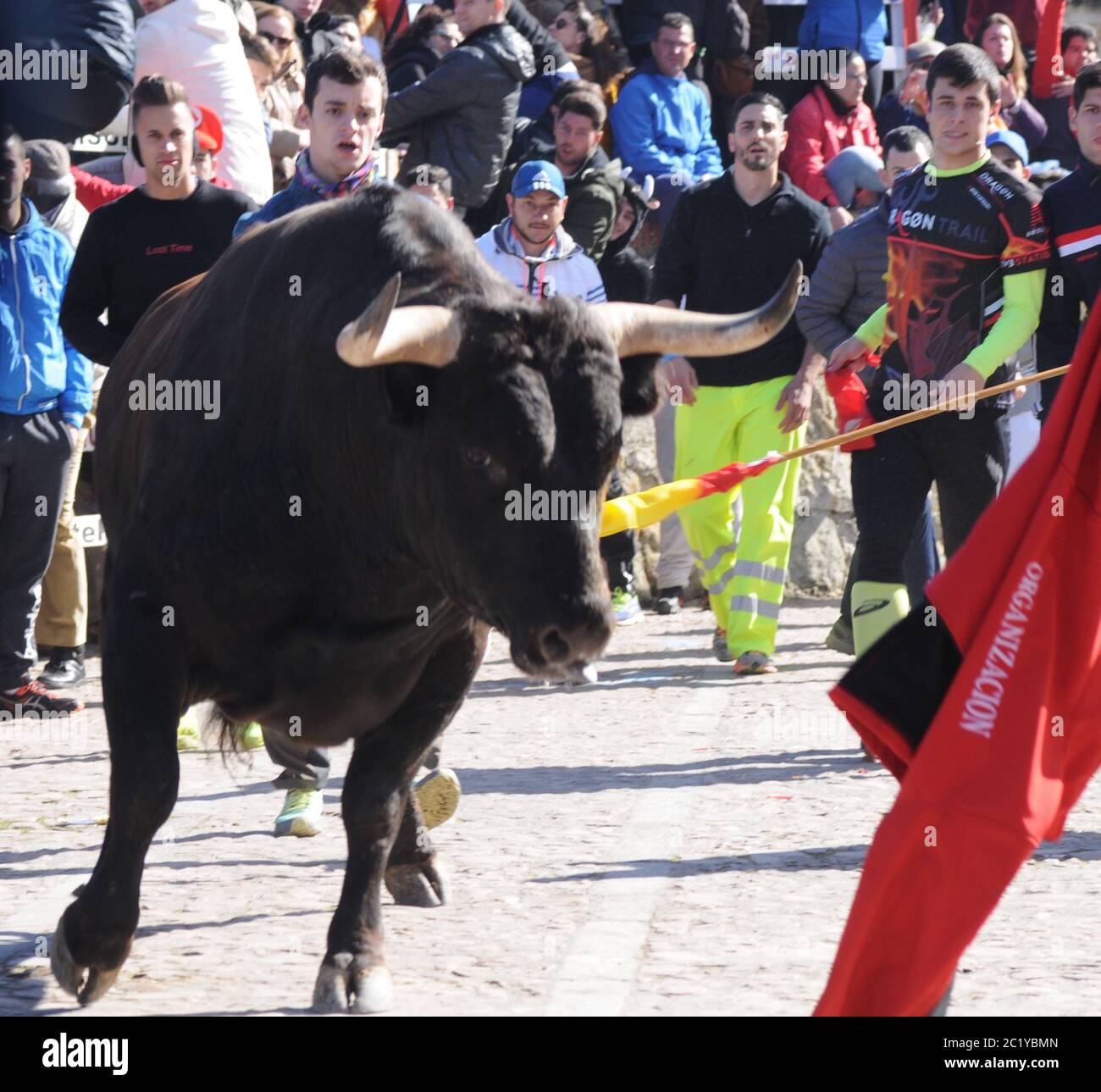 Street Bull Running, Spanien Stockfoto