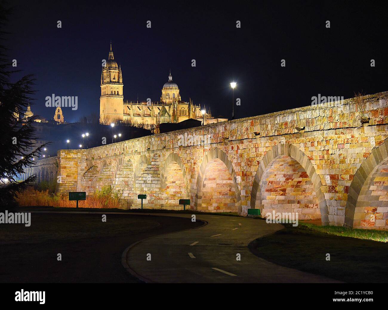 Römische Brücke und Kathedralen bei Nacht, Salamanca Stockfoto