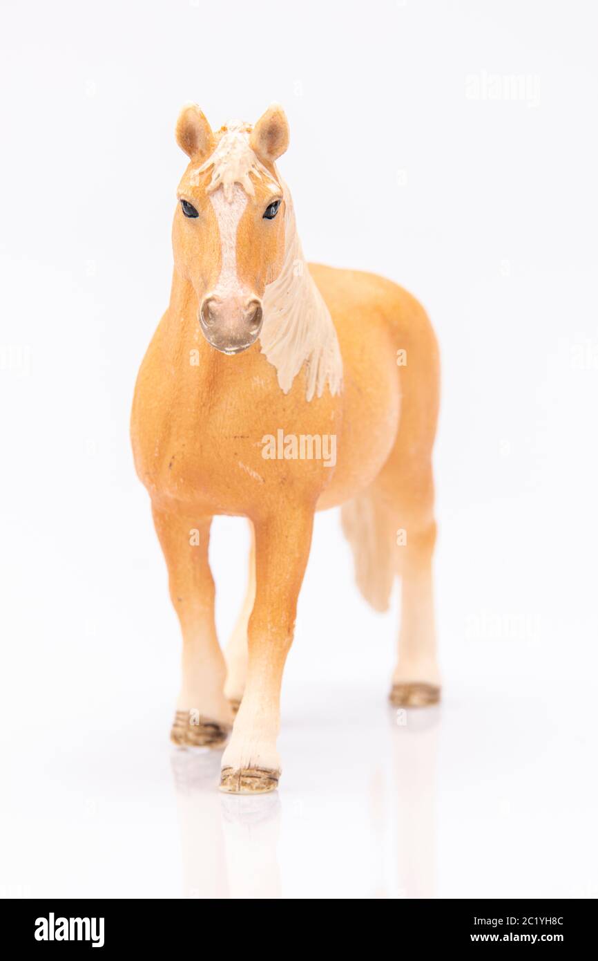 Nahaufnahme eines braunen Kunststoff-Pferdekopfes isoliert auf weißem Hintergrund Stockfoto