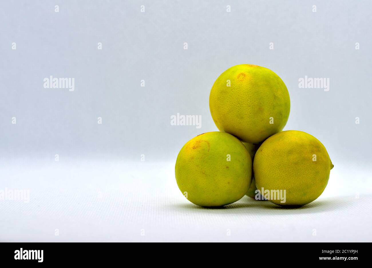 Die Zitrone, Citrus limon, ist eine Art von kleinen immergrünen Baum in der blühenden Pflanzenfamilie Rutaceae, die in Südasien, vor allem nordöstlich in Stockfoto