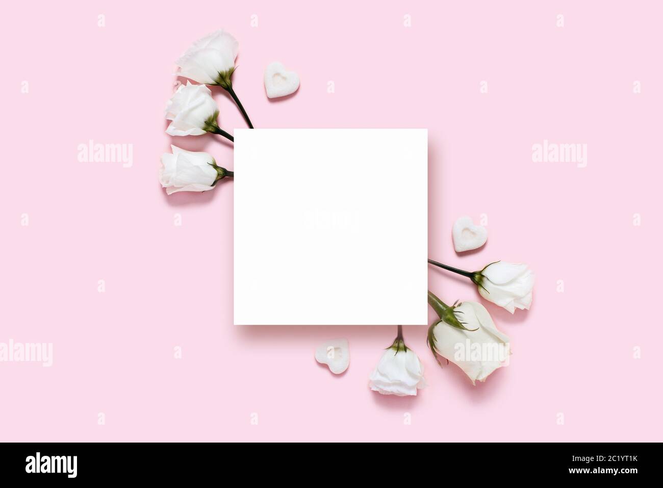 Urlaubskarte. Rosa Hintergrund mit weißem Papier und Rosen. Stockfoto