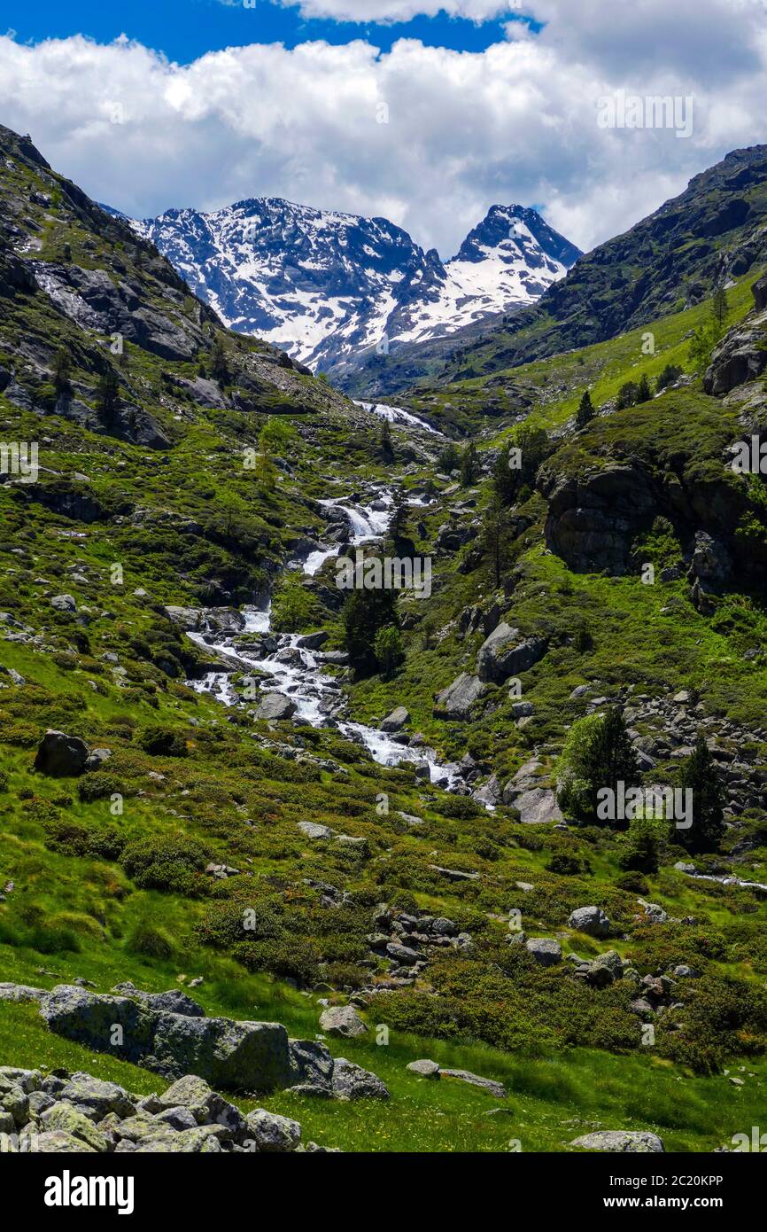 Bach mit Kaskaden fließt durch das Soulcem Tal in den französischen Pyrenäen, Ariege Region, Frankreich, Pyrenäen Berge Stockfoto