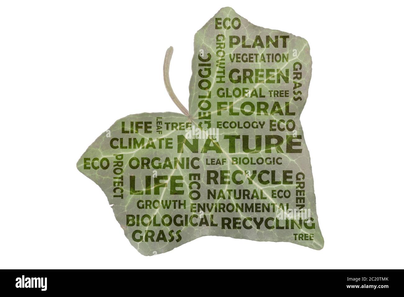 Wortwolke über die wichtigsten Schlüsselwörter Natur, Recycling und Leben Stockfoto
