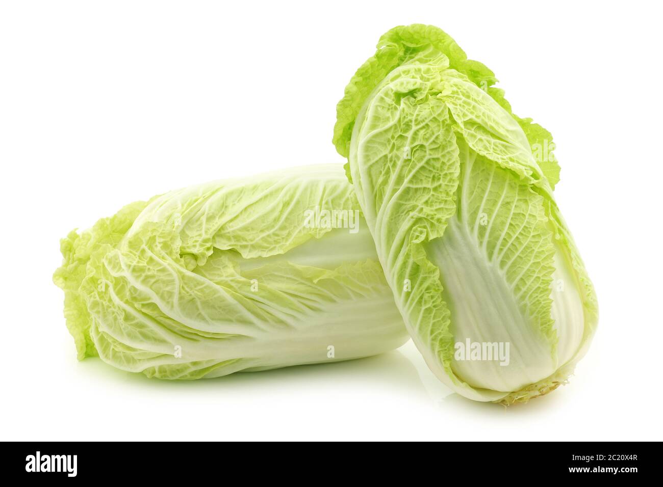 Frische chinesische Kohl auf weißem Hintergrund Stockfoto