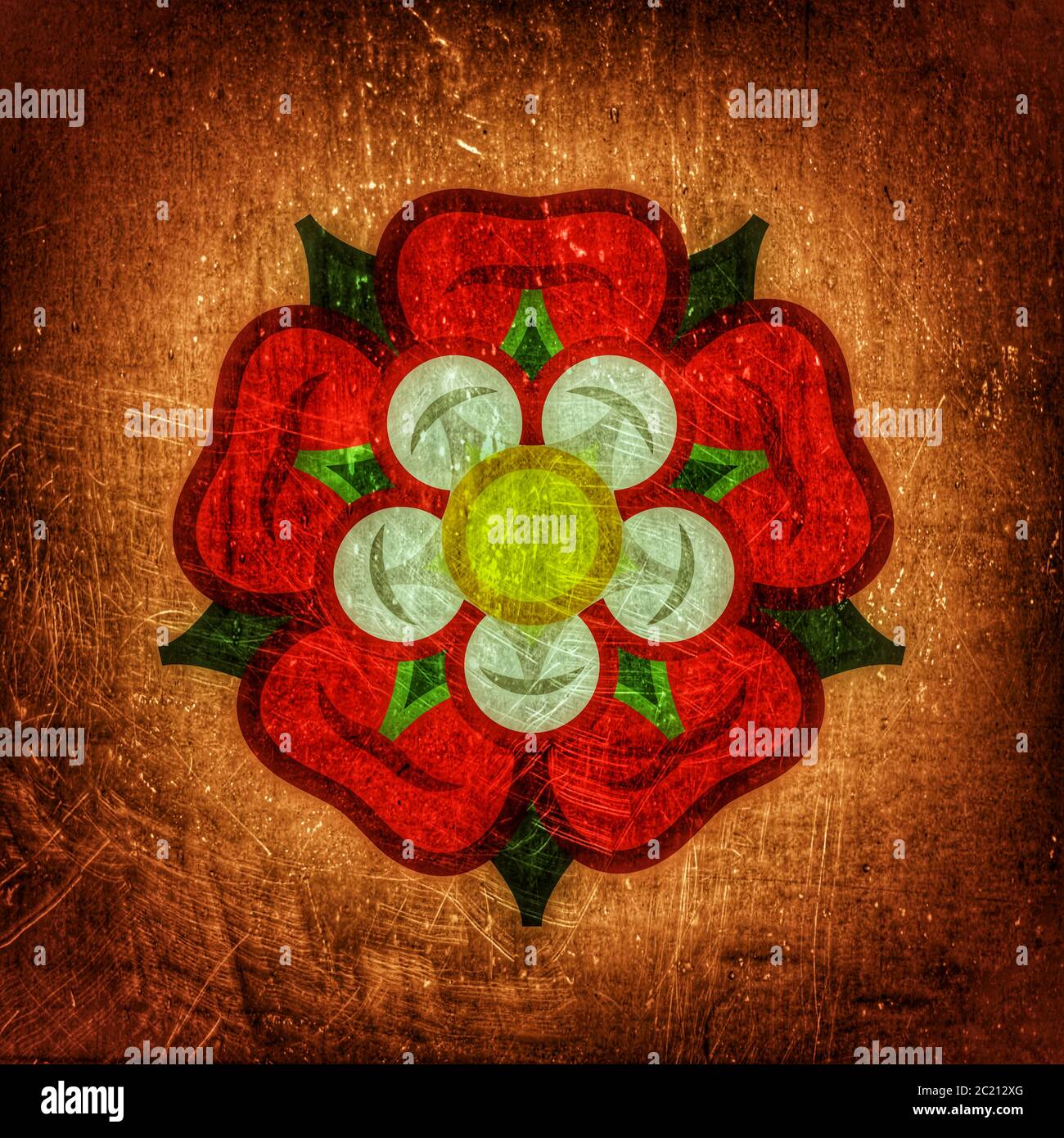 Rose (Königin der Blumen): Emblem der Liebe, der Schönheit und Vollkommenheit. Stockfoto