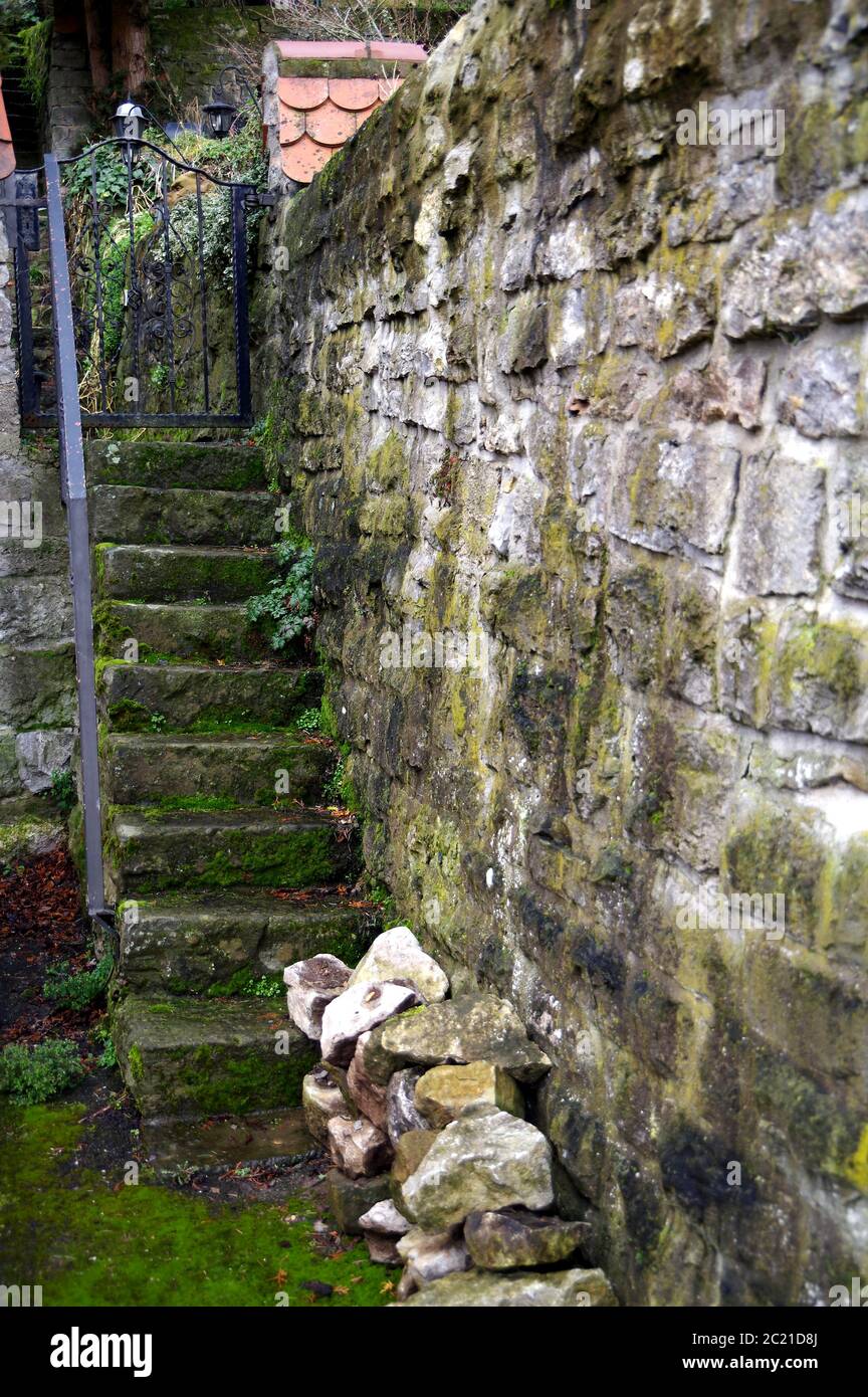 Zugang zum alten Garten über eine Steintreppe und eine Natursteinmauer mit Moos und Unkraut Stockfoto