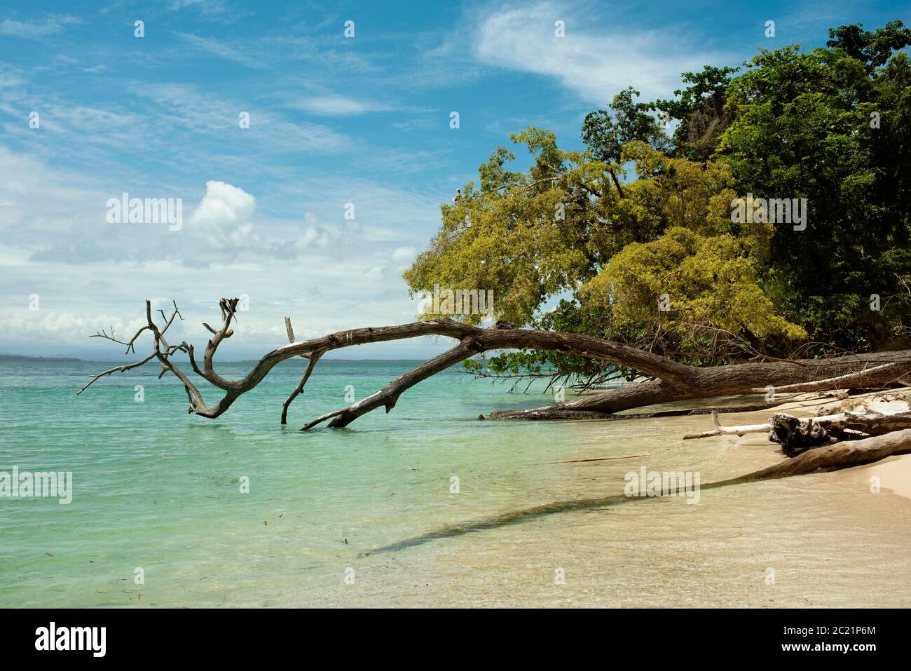 Der unberührte karibische Strand von Cayo Zapatilla #1, Provinz Bocas del Toro, Panama. Oktober 2018 Stockfoto