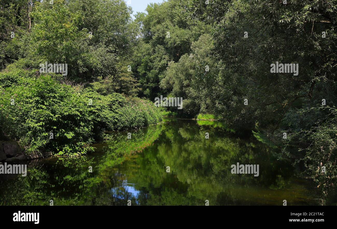 Ruhrgebiet in der Nähe der Stadt Arnsberg im Sommer, mit Tieflandwald, Nordrhein-Westfalen, Deutschland Stockfoto