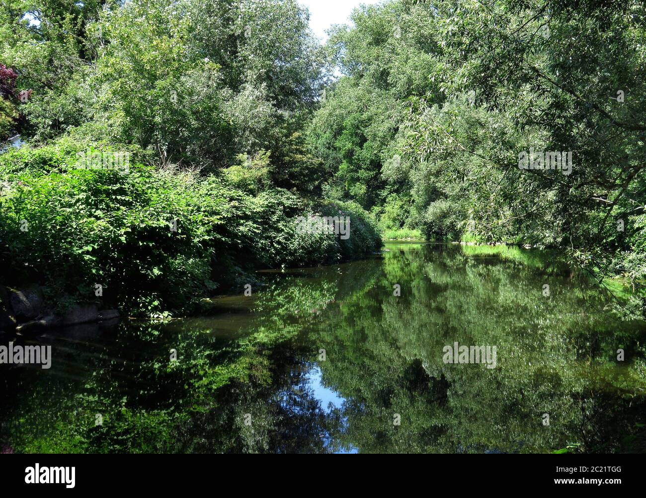 Ruhrgebiet im Sommer, mit Tieflandwald, Nordrhein-Westfalen, Deutschland Stockfoto