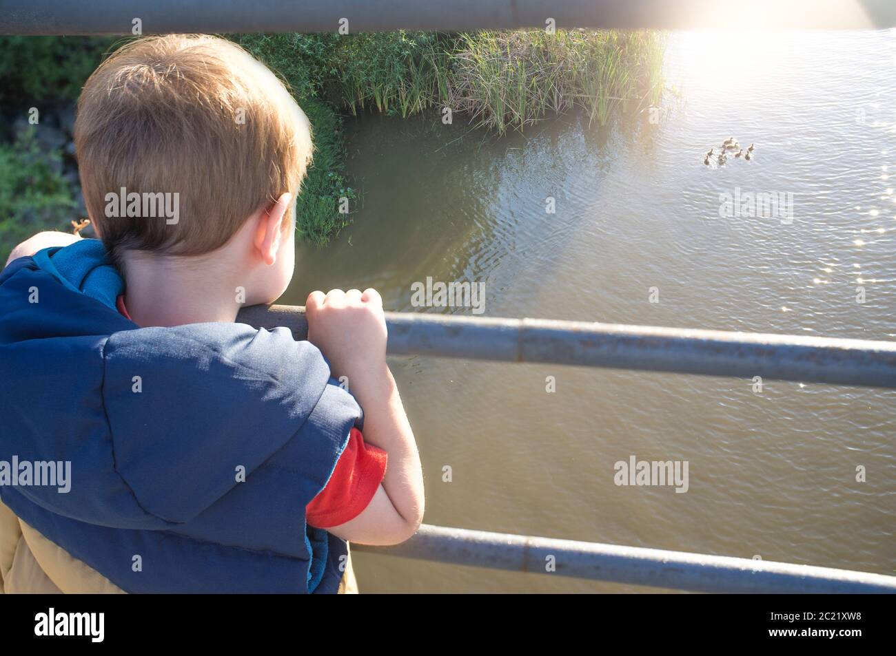 Kleiner Junge auf der Brücke stehend und eine wilde Entenfamilie beobachten. Natur für Kinder entdecken Konzept Stockfoto