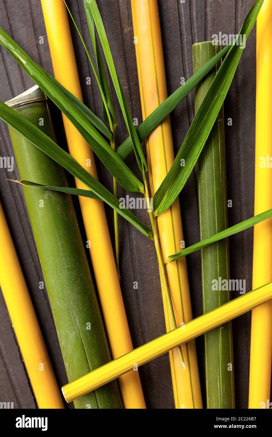 Zweige aus Bambusholz. Stockfoto
