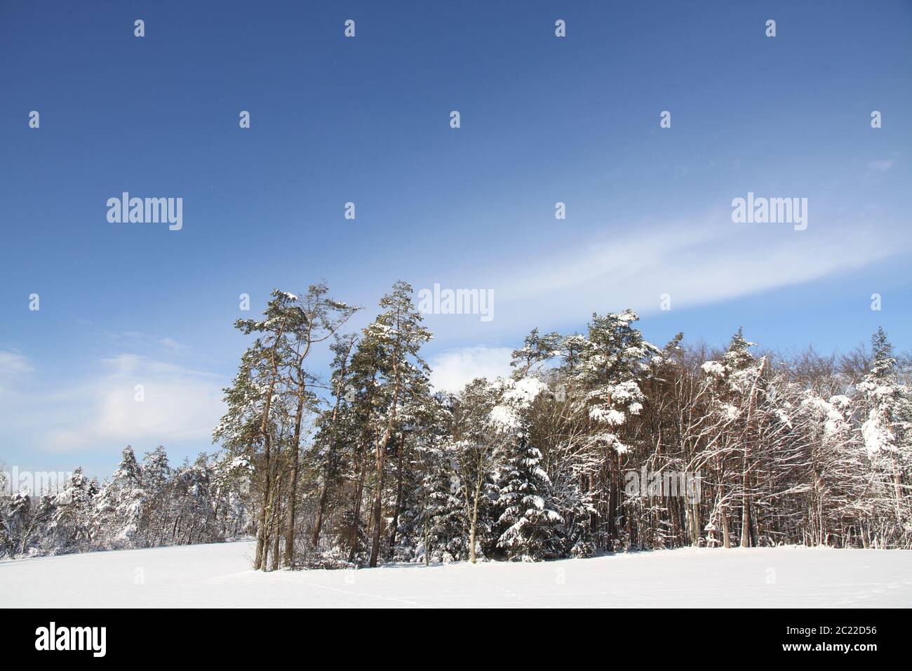 Winter und Schnee 7 Stockfoto