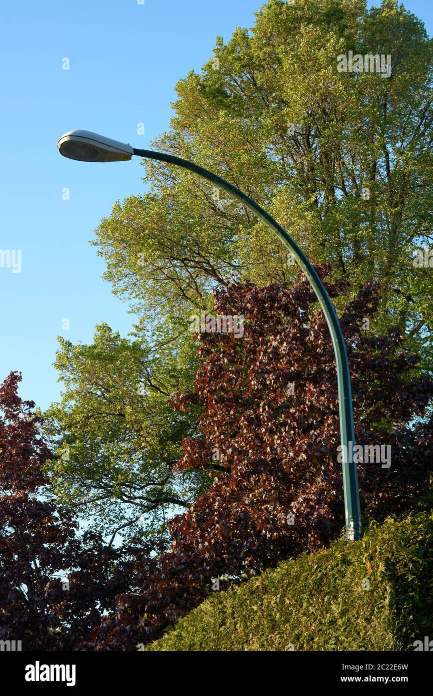 Gebogene elektrische Straßenlaterne mit Bäumen im Hintergrund Stockfoto