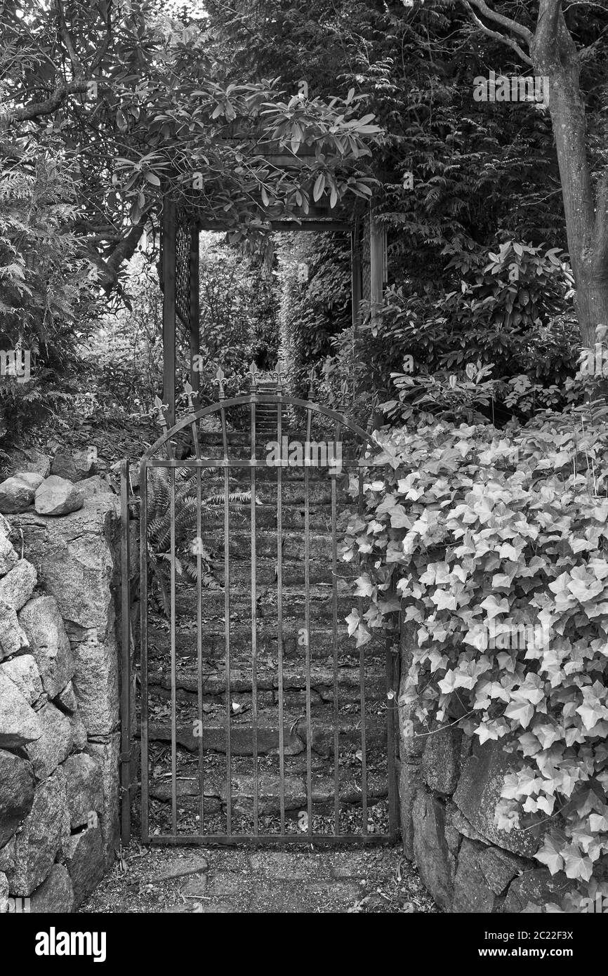 Stimmungsvolles Schwarz-Weiß-Bild eines metallenen Gartentores und Treppen, die durch Sträucher und Bäume führen Stockfoto