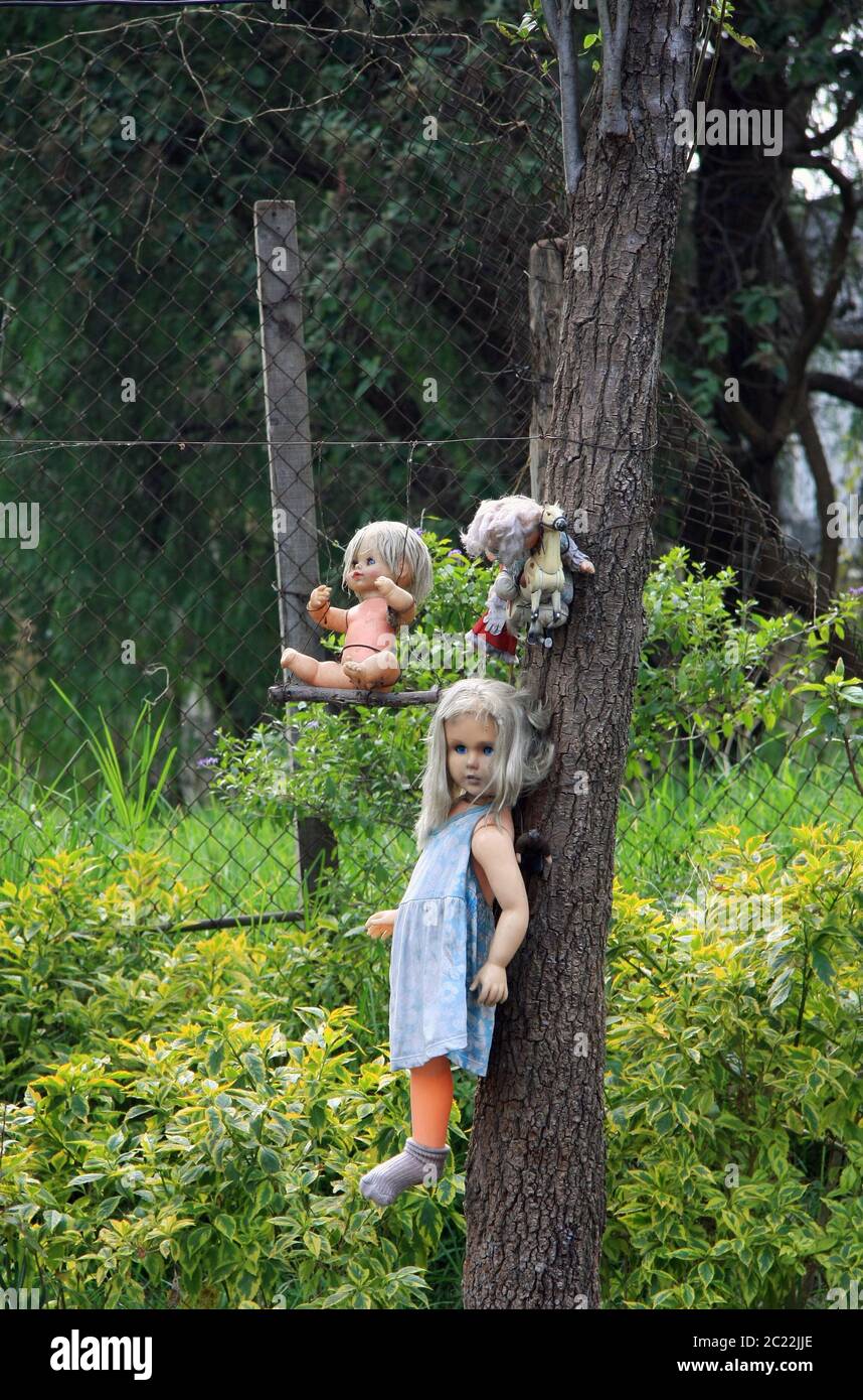 Die Insel der Puppen (La Isla de las Muñecas) kleine Inseln im Xochimilco-See, Mexiko-Stadt, Mexiko Stockfoto