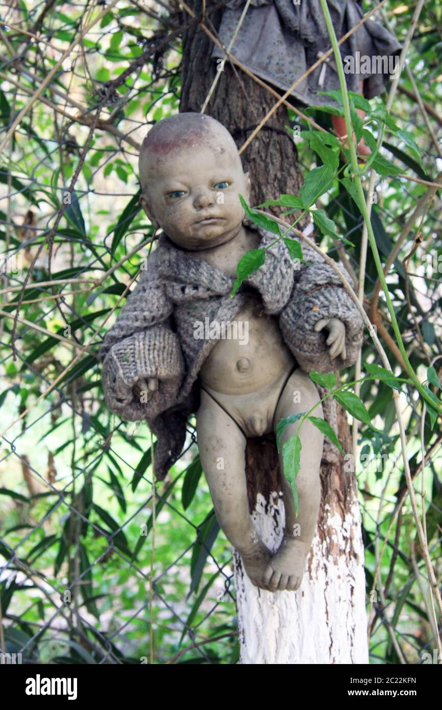 Die Insel der Puppen (La Isla de las Muñecas) kleine Inseln im Xochimilco-See, Mexiko-Stadt, Mexiko Stockfoto