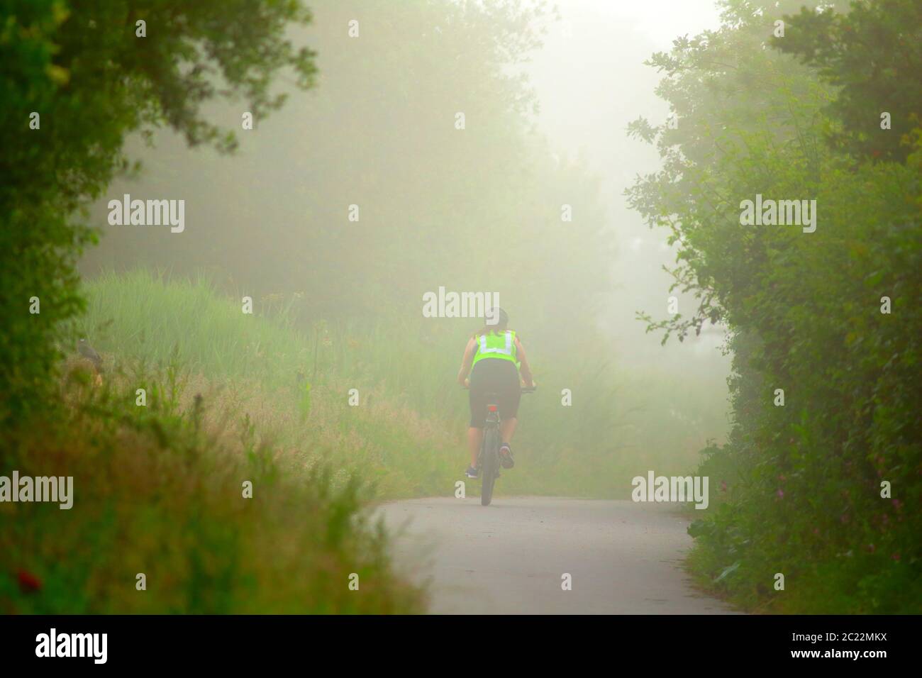 Fahrradfahrer am nebligen Morgen in Seaton Wetlands, Devon Stockfoto