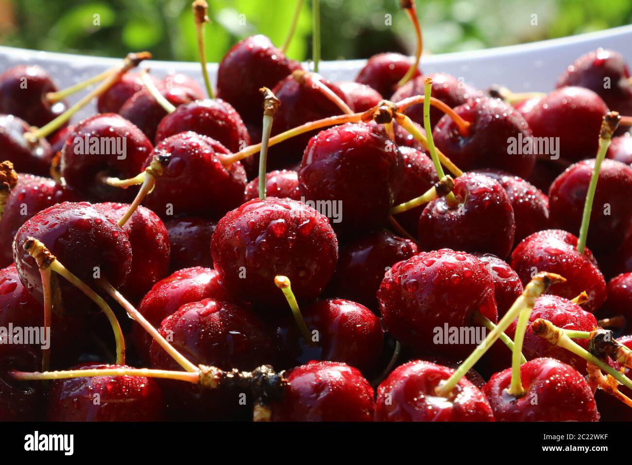 Frische rote Kirschen, Früchte der Sommersaison Stockfoto
