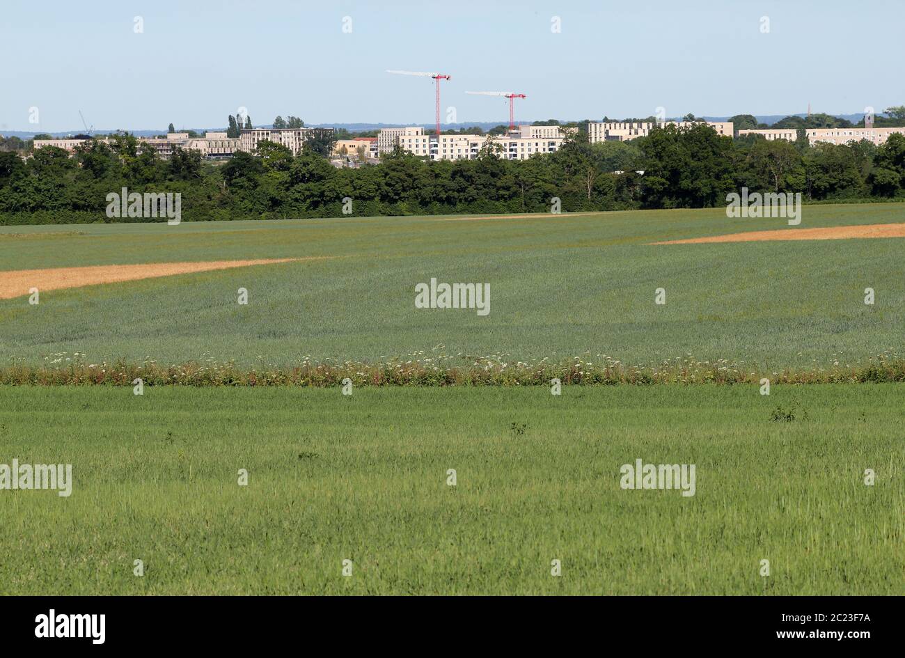 Eddington Cambridge Stockfoto