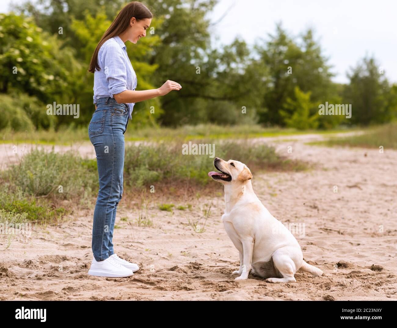 Mädchen, die ihrem gehorsamen Hund einen Befehl geben Stockfoto