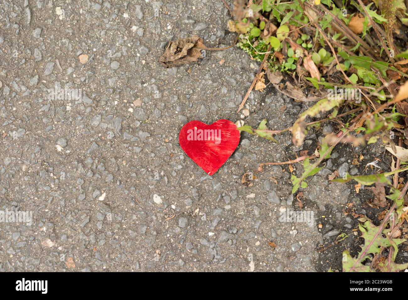 Rotes Konfetti-Herz auf dem Boden liegend mit Planst und Asphalt - Konzept für verlorene Liebe und geschädigtes Herz Stockfoto