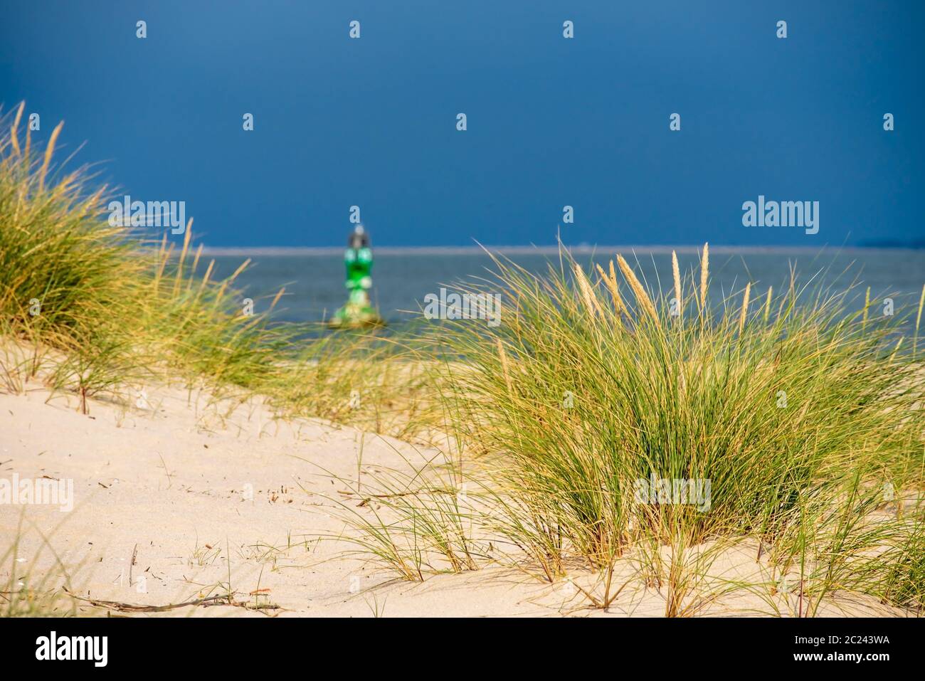 Seezeichen Stockfoto