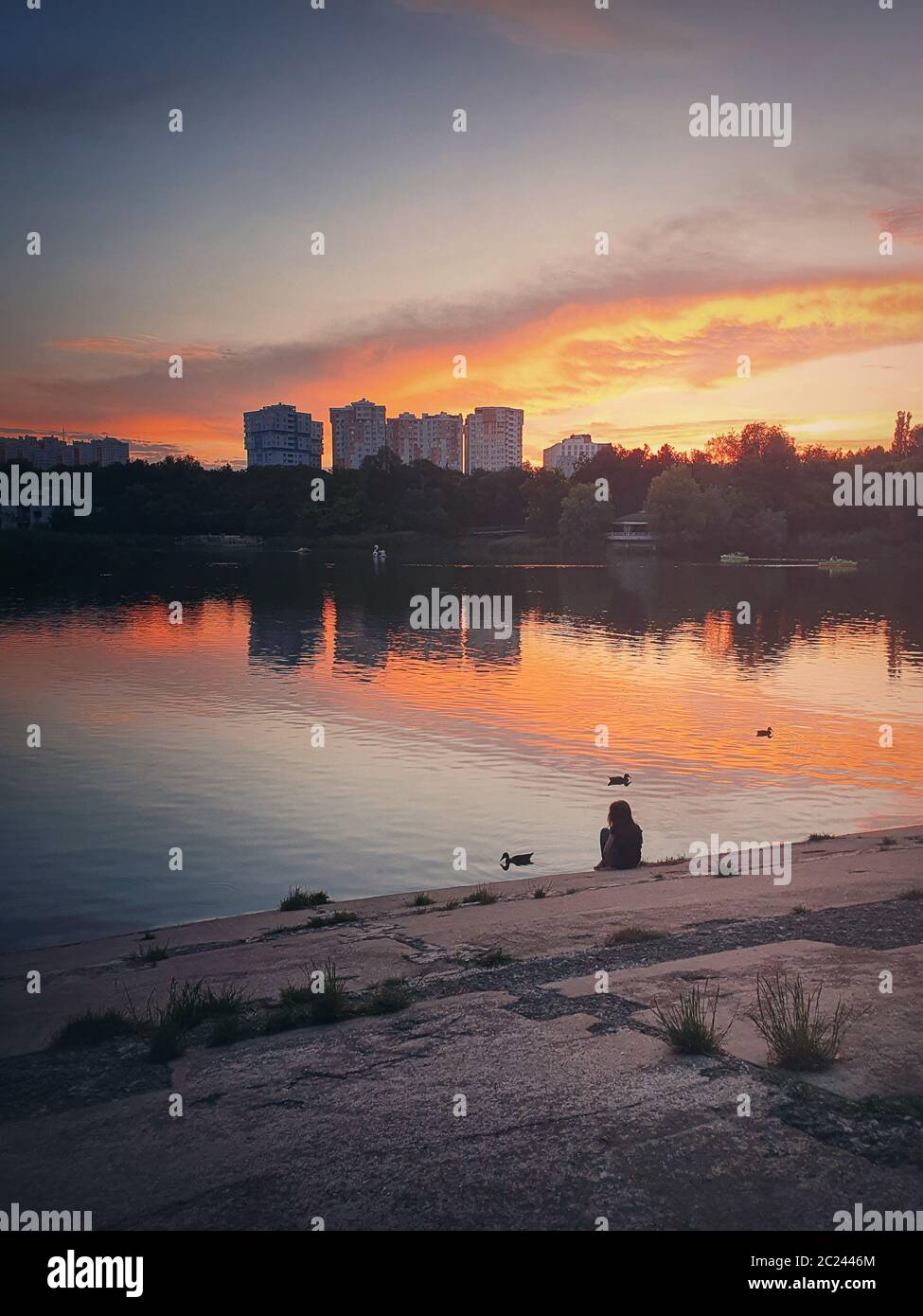 Moody und idyllische Abendszene mit einem kleinen Mädchen Silhouette, Fütterung der wilden Enten, sitzen in der Nähe des Sees im Park. Wunderbarer Sonnenuntergang im Sommer mit Stockfoto